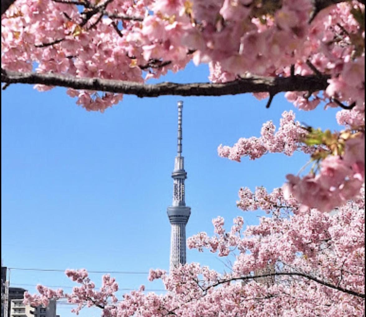貸切一軒家 東京ヴィラ リバーサイド平井 Tokyo Esterno foto